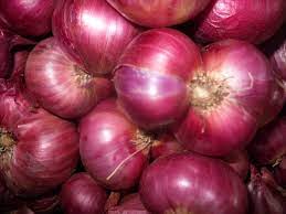 Onion Export